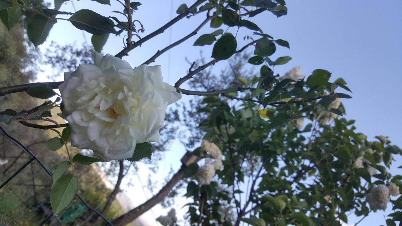 فيلا Rifugio Valentina Uscio المظهر الخارجي الصورة